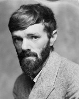 D H Lawrence Image 13